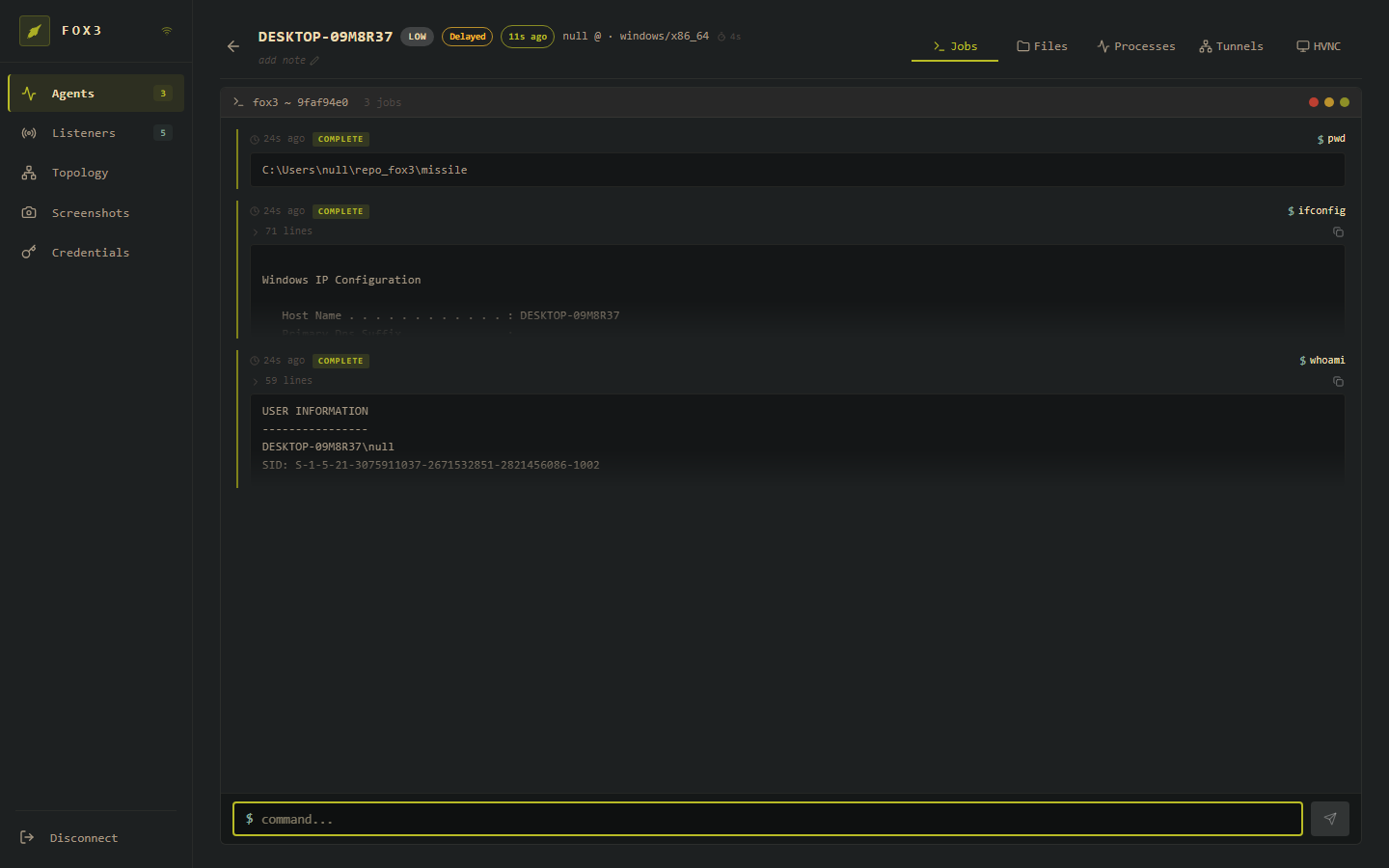 Job terminal — completed pwd, ifconfig, whoami with output inline
