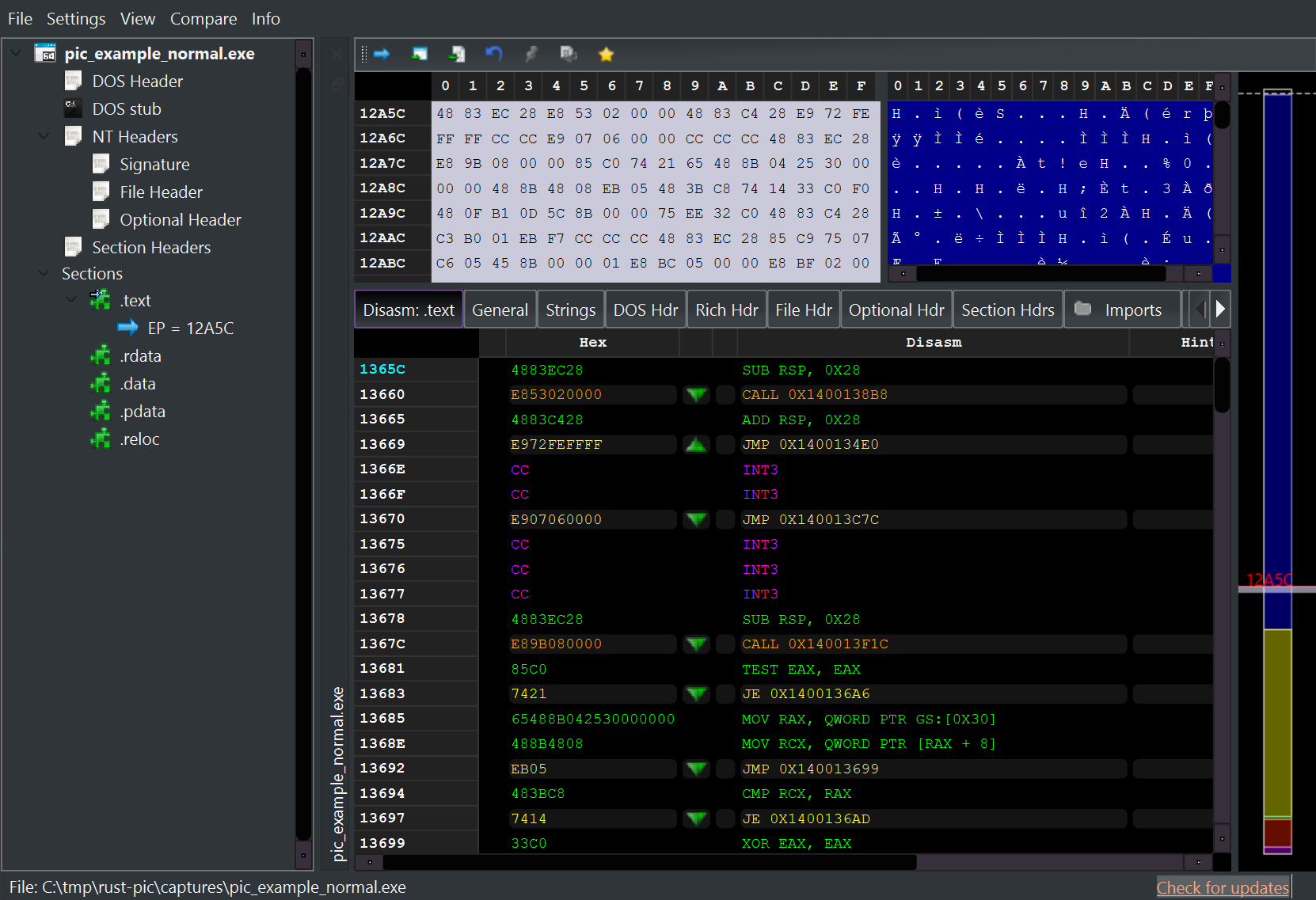 PE-bear showing stack setup and call instructions in disassembly